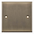 Selectric 7MPRO-642 Antique Brass 1G Blanking Plate
