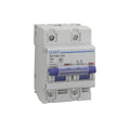 Chint 80A 2 Pole 10kA MCB