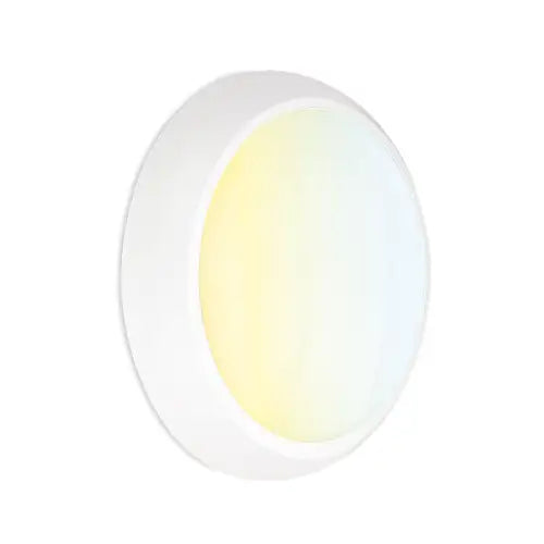 Aurora AU-BHE20CWS MestorCWS™ 12W/16W/20W Wattage Adjustable Round Bulkhead