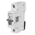 FuseBox MT10C061 MCB SP Type C 6A 10kA