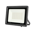 Ecolux FL50-6500-NS-B 50W Floodlight